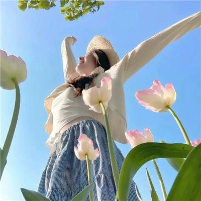 芝加哥匪帮